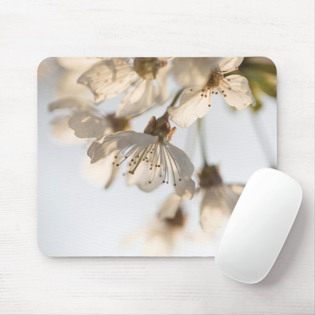 Cherry Blossom Nature Photo Mouse Mat (With Mouse)