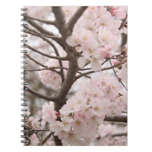 Cherry Blossom Notebook