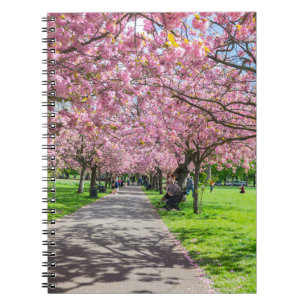 Cherry blossom notebook