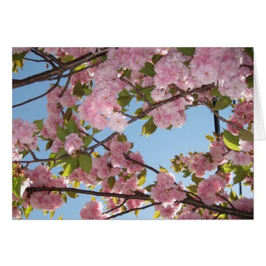 Cherry Blossom notecards Card