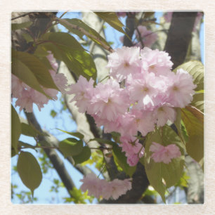 Cherry blossom photo glass coaster
