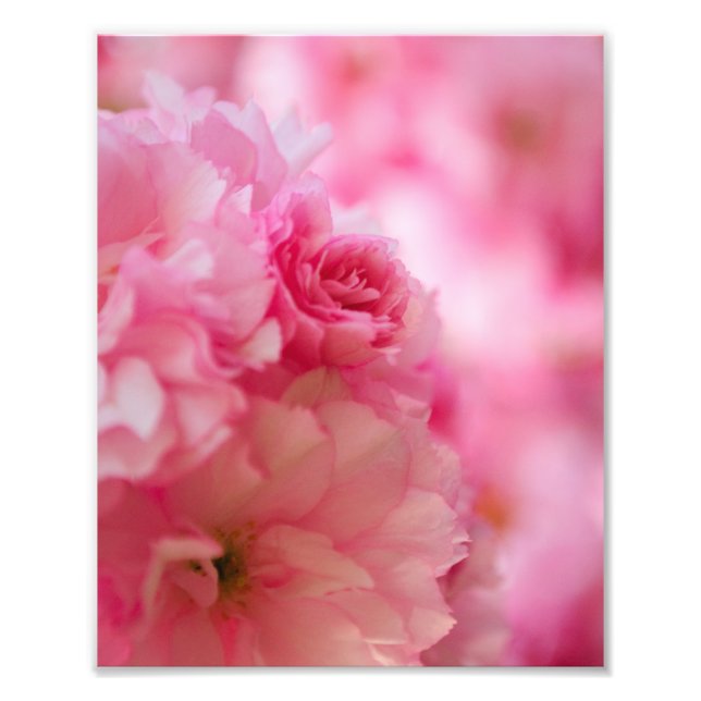 Cherry Blossom Photo Print (Front)
