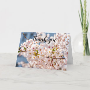 Cherry Blossom Pink Floral Wedding Thank you  Card