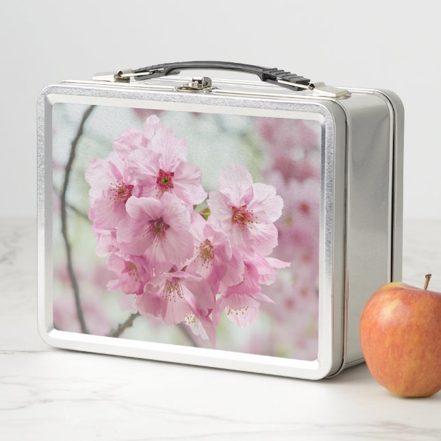 Cherry Blossom, Pink Flower Photography Metal Lunch Box (In Situ)