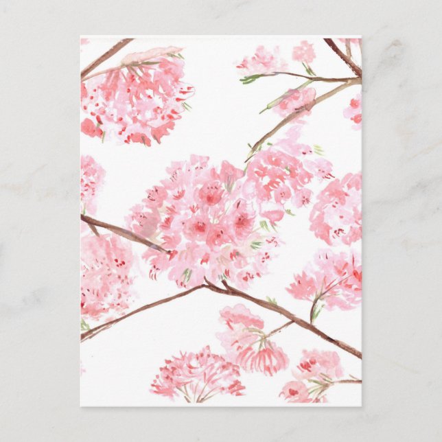 Cherry blossom pink flowers painting postcard (Front)