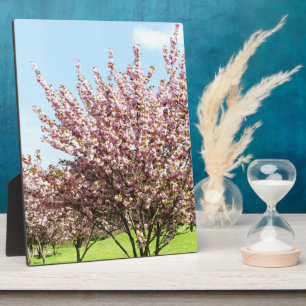 Cherry Blossom Plaque