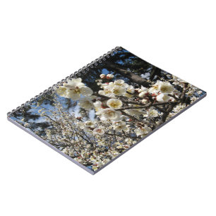 Cherry Blossom / Sakura / サクラ（桜） Notebook
