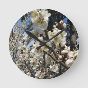 Cherry Blossom / Sakura / サクラ（桜） Round Clock