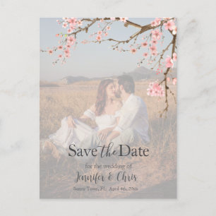 Cherry Blossom Save the Date Photo Postcard