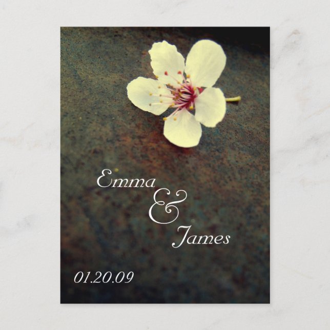 Cherry Blossom Save the Date Vintage Rust Postcard (Front)