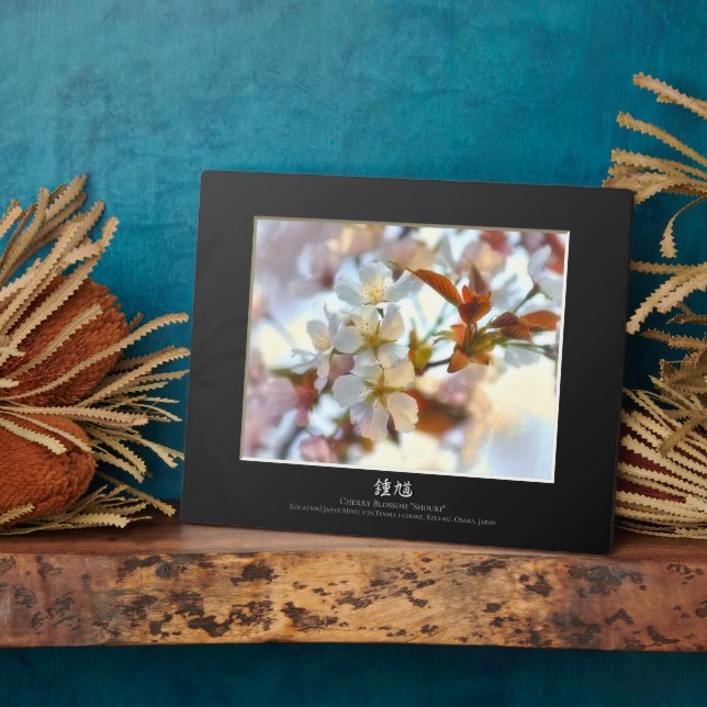 Cherry Blossom: Shouki  Plaque (Side)
