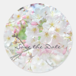 Cherry Blossom Springtime Wedding  Classic Round Sticker