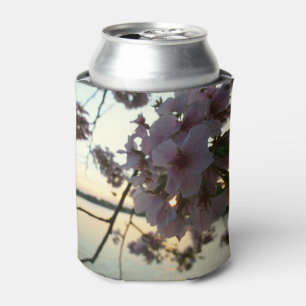 Cherry Blossom Sunset in Washington DC Can Cooler