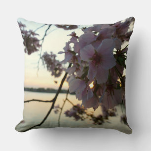 Cherry Blossom Sunset in Washington DC Cushion