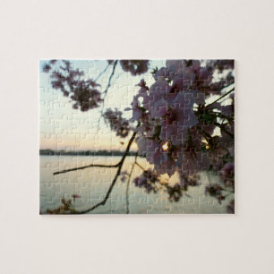 Cherry Blossom Sunset in Washington DC Jigsaw Puzzle