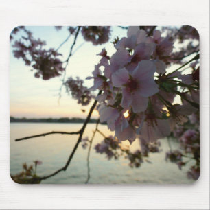 Cherry Blossom Sunset in Washington DC Mouse Mat