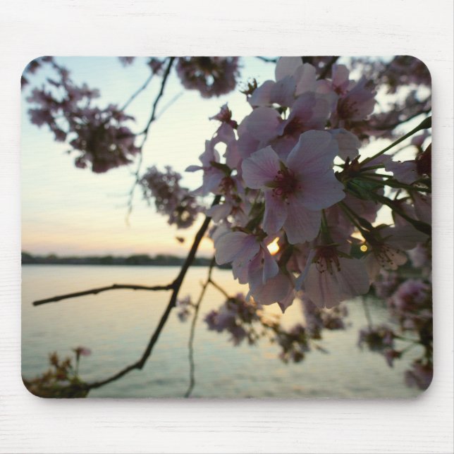 Cherry Blossom Sunset in Washington DC Mouse Mat (Front)