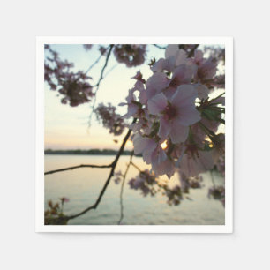 Cherry Blossom Sunset in Washington DC Napkin