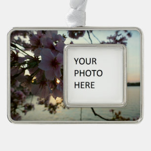 Cherry Blossom Sunset in Washington DC Silver Plated Framed Ornament