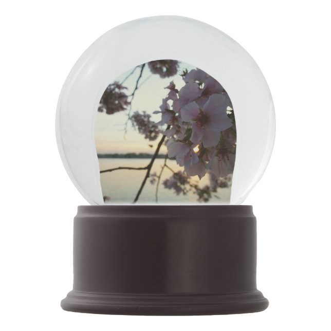 Cherry Blossom Sunset in Washington DC Snow Globe (Front)