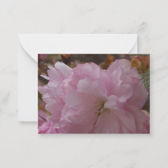 Cherry Blossom Sympathy Card (Front)