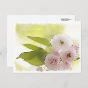 Cherry Blossom "Takato Kohigan-Zakura" Postcard