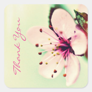 Cherry Blossom Thank You Square Sticker