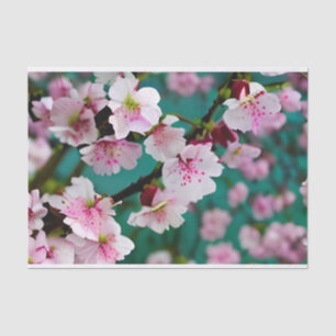 Cherry Blossom Tissue Paper