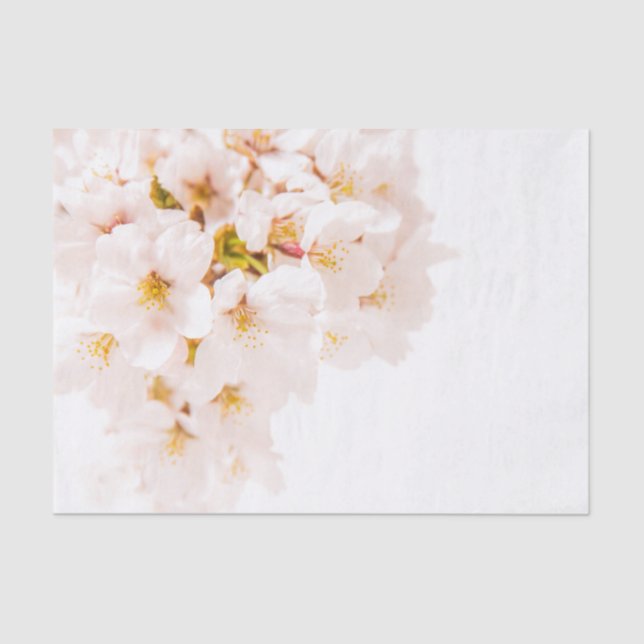 Cherry Blossom Tissue Paper (Front)