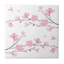 Cherry Blossom - Transparent-Background