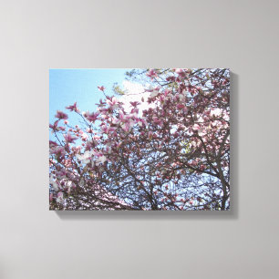Cherry Blossom Tree Canvas Print
