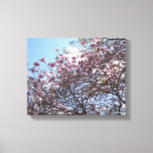 Cherry Blossom Tree Canvas Print
