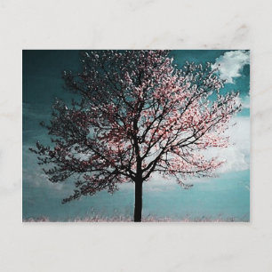 Cherry Blossom Tree Painting - Dusk Postcard
