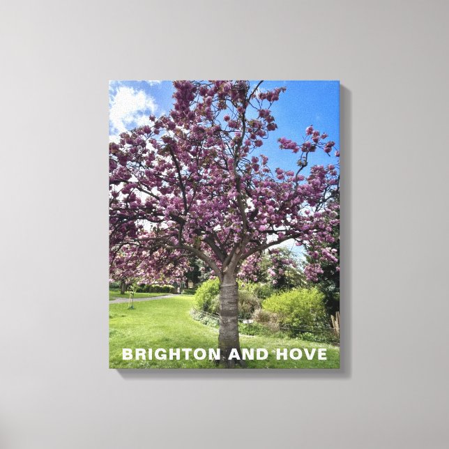 Cherry Blossom Tree Park in Brighton Spring time Canvas Print (Front)