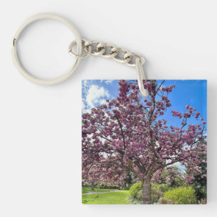 Cherry Blossom Tree Park in Brighton Spring time Key Ring