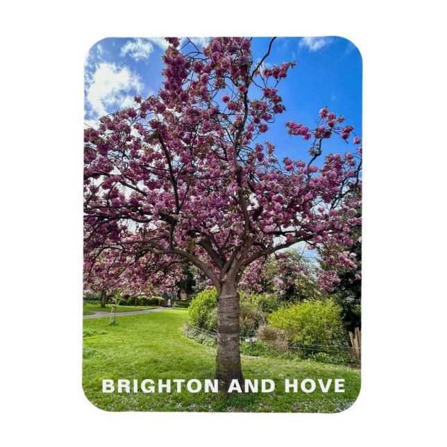 Cherry Blossom Tree Park in Brighton Spring time Magnet (Vertical)