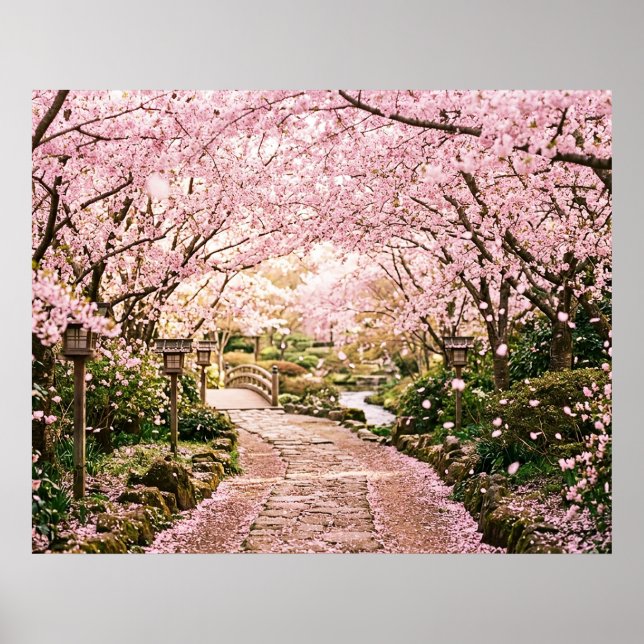 Cherry Blossom Trees Poster (Front)