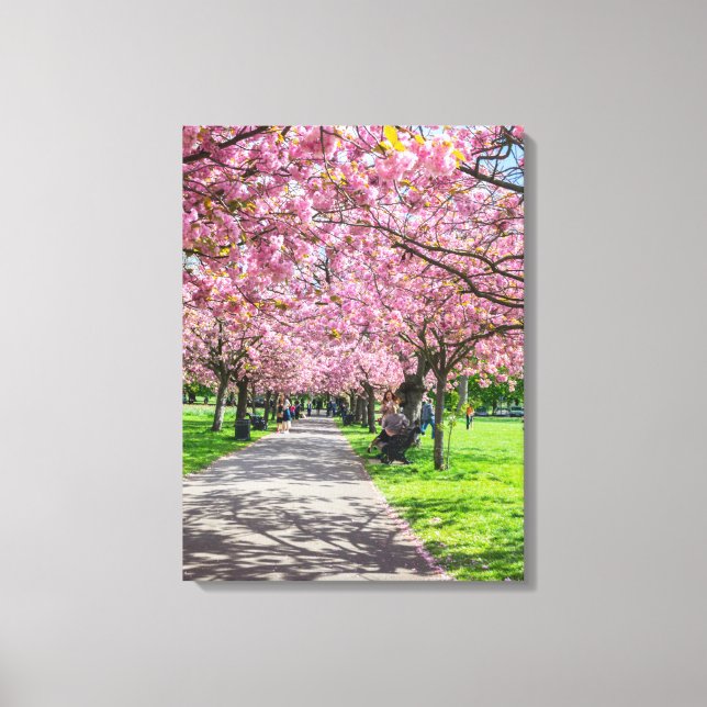 Cherry blossom view canvas print (Front)