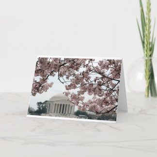 Cherry Blossom Washington DC Card