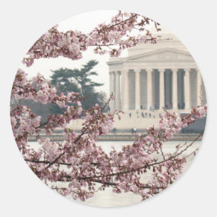 Cherry Blossom Washington DC Classic Round Sticker