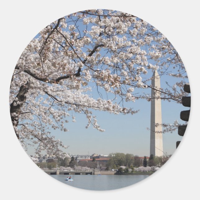 Cherry Blossom Washington DC Classic Round Sticker (Front)