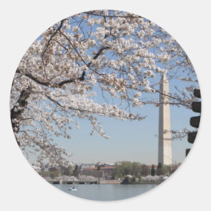 Cherry Blossom Washington DC Classic Round Sticker