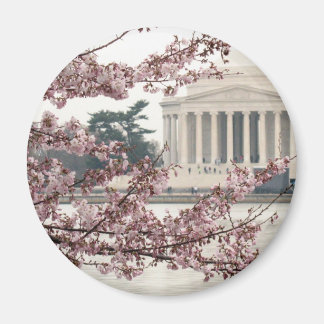 Cherry Blossom Washington DC Magnet