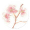 Cherry Blossom Watercolor Sticker