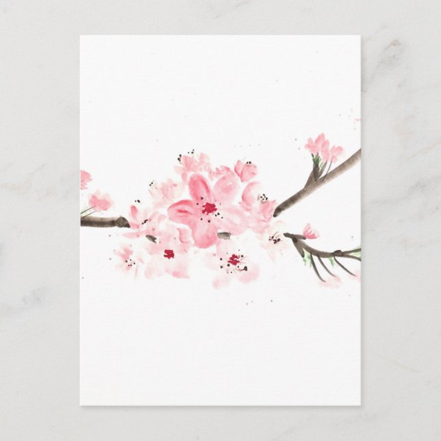 Cherry blossom watercolour postcard (Front)