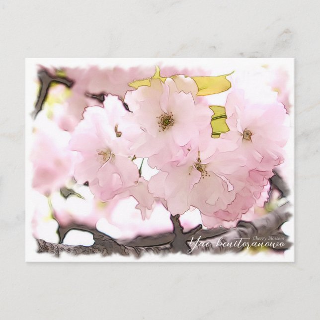 Cherry Blossom "Yae-benitoranowo" Postcard (Front)