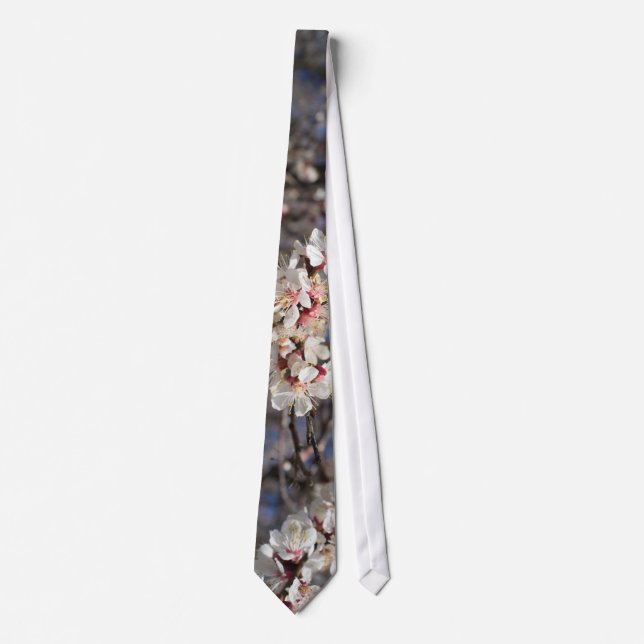 Cherry blossoming tie (Front)