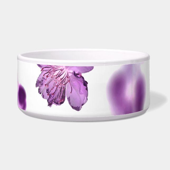 Cherry blossoms (Front)