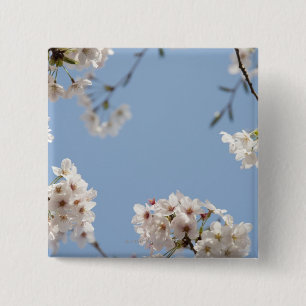 Cherry blossoms 15 cm square badge