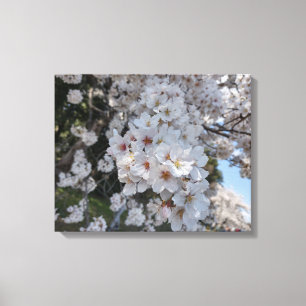 CHERRY BLOSSOMS #2 ON CANVAS     20 "x 16" Print